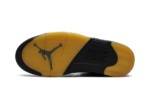 Air Jordan 5 5